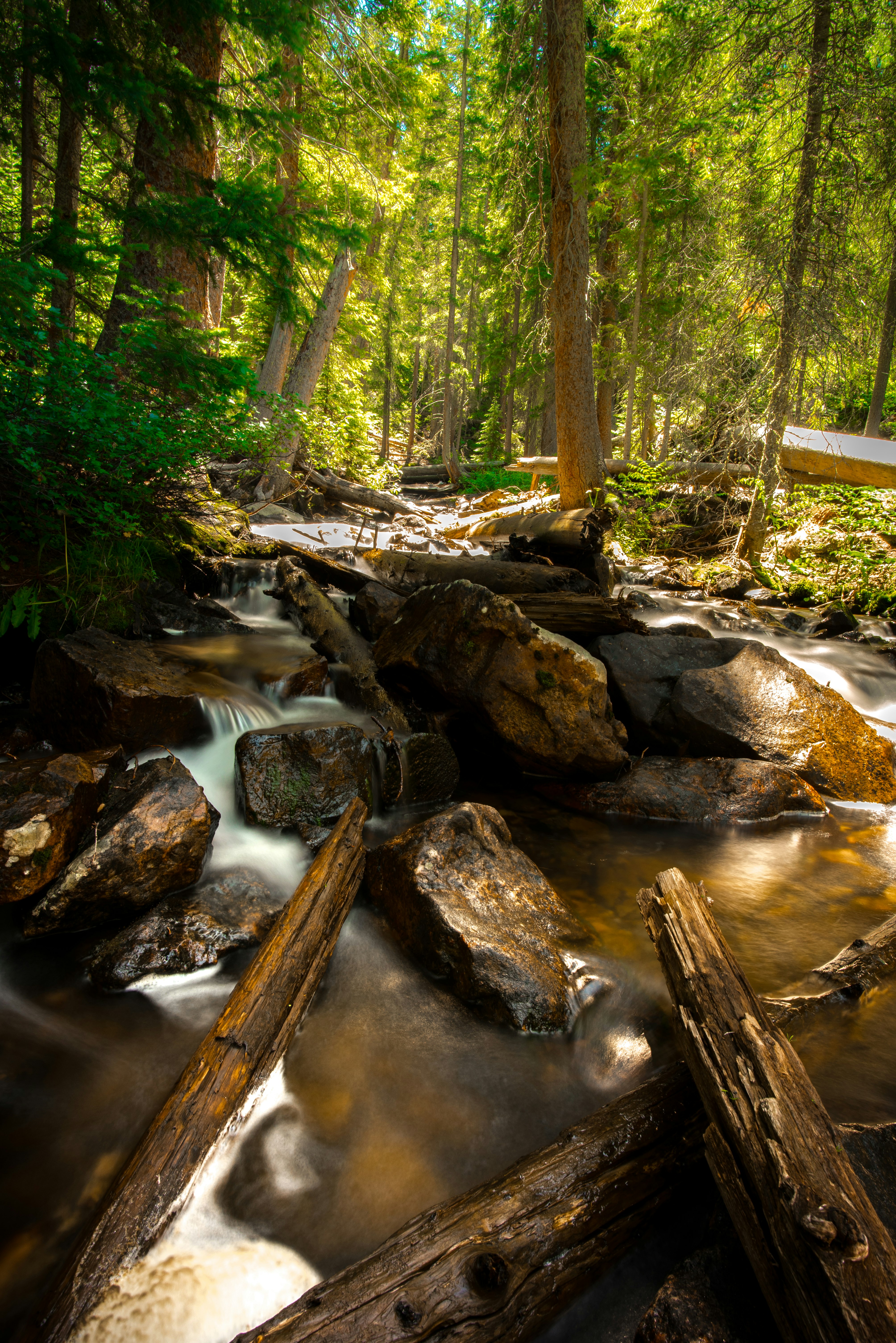 stream with large rocks and logs in the woods